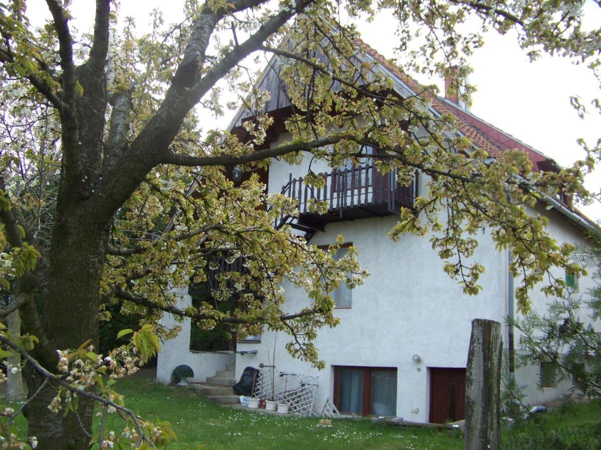 Nefelejcs Apartman Fertőhomok 外观 照片